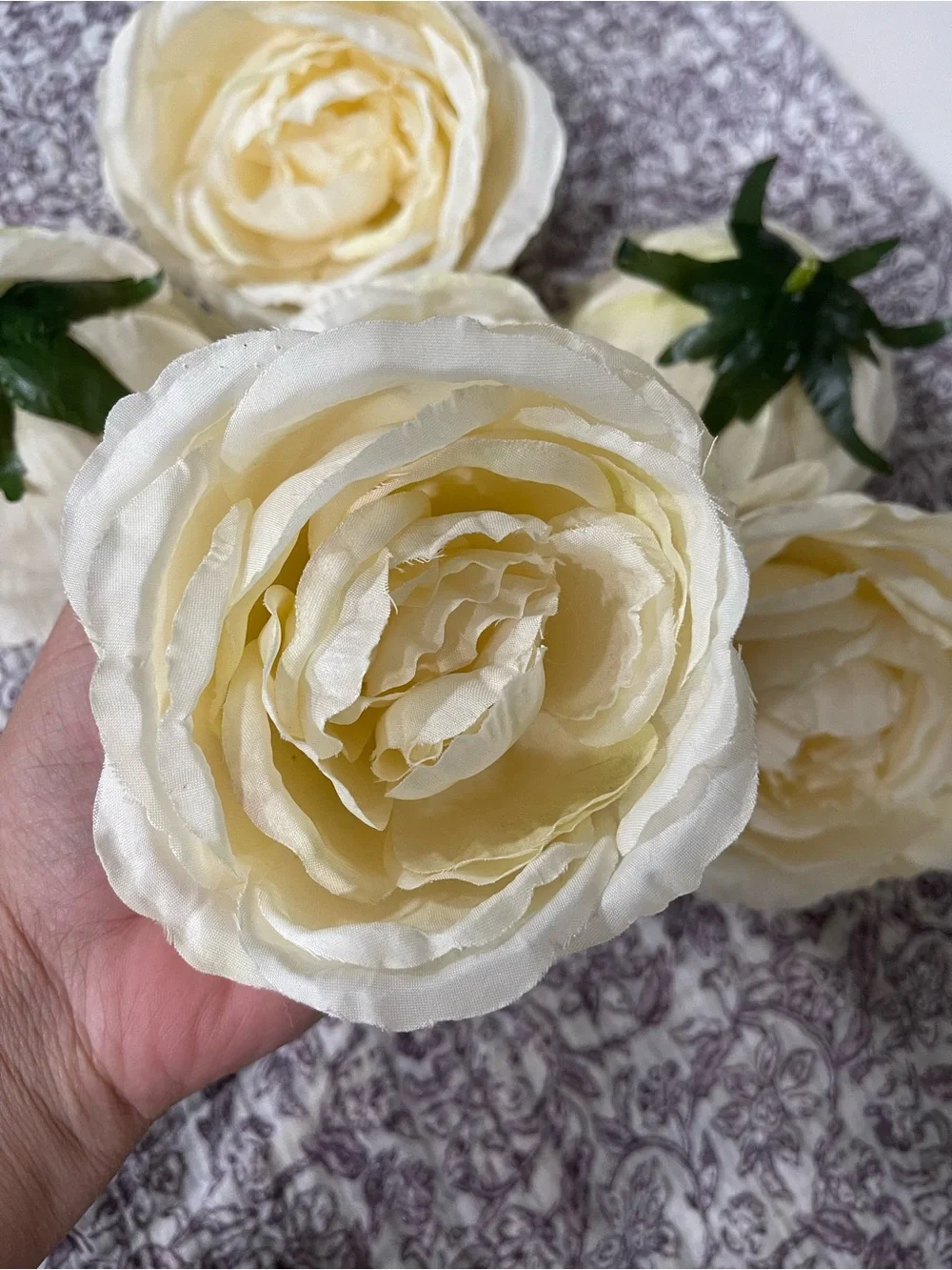 Ivory Ranunculus Flower Heads - Set of 6